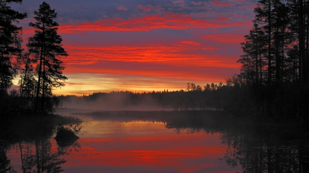 Sunrise in Sweden - clouds, trees, sweden, beautiful, mist, sunrise, lake, reflection