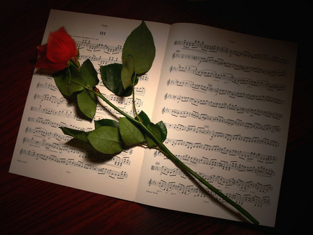 Notes and rose - music, note, sound, tone, rose, flower