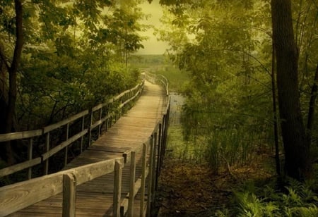 Bridge. - water, view, green, tree, bridge