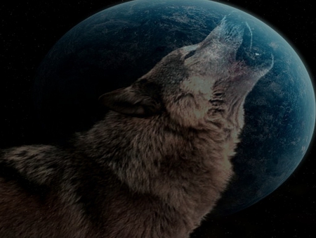 Wolf&Moon - moon, blue, wolf, beautiful, cool