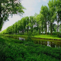 Schipdonk-canal, Belgium in spring