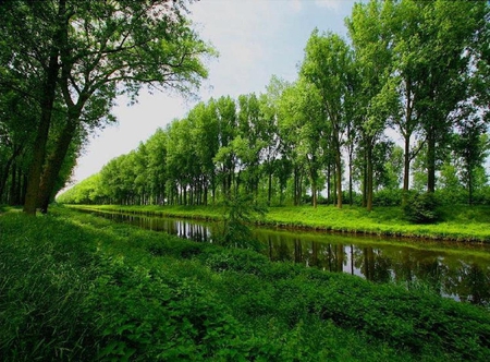 Schipdonk-canal, Belgium in spring - belgium, tree, canal, grass, spring