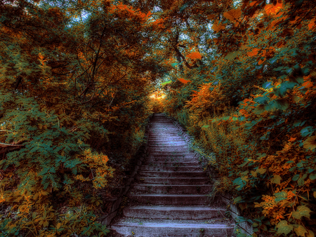 Scenic Stairwell - stone, trees, stairs, color, heavenly