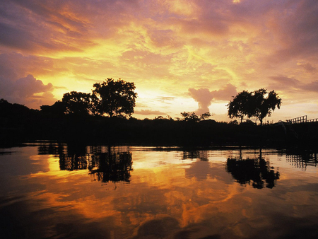 Red Sunset - sky, sunset, trees, sun