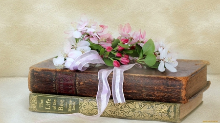 Still Life - flowers, beautiful, old, books, pink