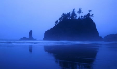 clear blue - nature, beach, trees, reflection, blue, rock