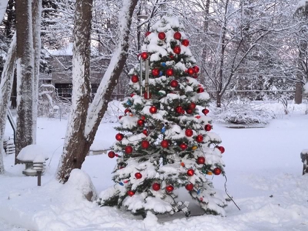 Christmas Outdoors - tree, x-mas, ornaments, snow