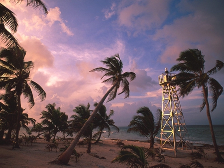 mexican beach - beach, lighthouse, palm trees, tropical