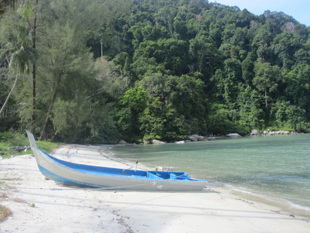 Monkey-beach Malaysia - beach, trees, water, shore, palmtrees, jungle, blue, malaysia, green, tree, sea, sand, boat