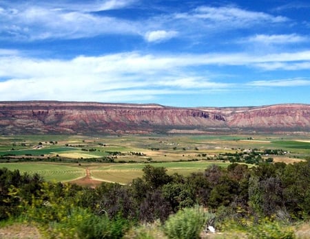 Colorado Valley - sky, land, trees, mountain