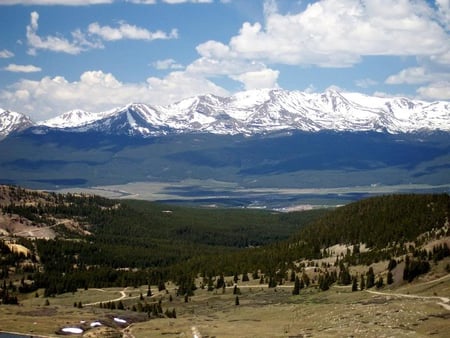 Mount Massive, Colorado - evergreens, mountain, land, sky