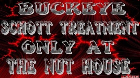 BUCKEYE SCHOTT TREATMENT - ohio, buckeyes, state, basketball