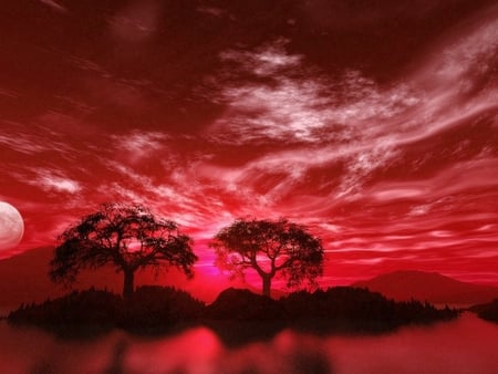 Red nature - nature, sky, red, tree, sunset