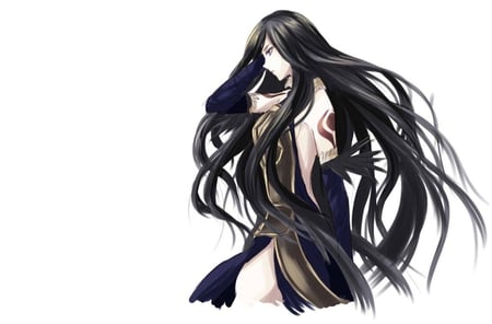 Shanoa - castlevania, female, long hair, video game, blue eyes, shanoa, anime girl, game, white background, girl, vector, order of ecclesia, black hair, games, video games, lone, gloves