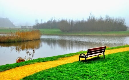 MISTY MORNING - trees, fog, mist, bench, lake, park