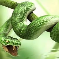 Green snake