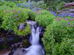 Waterfalls