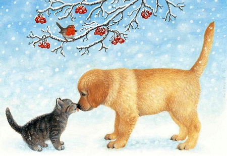 By Avril Haynes - bird, winter, avril haynes, snow, dog, love, sweet, tree, cat, christmas, animal, kitten, rain, puppy