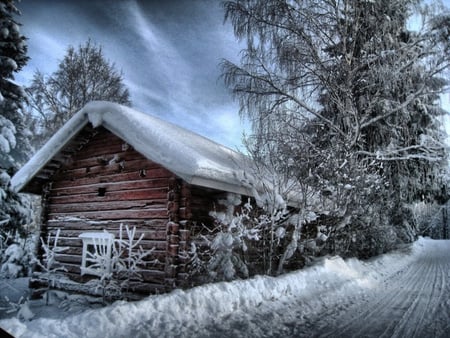 COUNTRYSIDE - trees, snow, winter, cabin, road