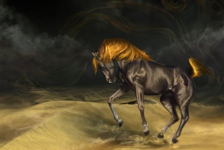 SANDSTORM - storm, brown, golden, sand, horse