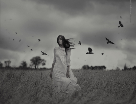 I'm - beauty, woman, freedom, photography, atmosphere, field, bw, birds