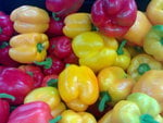 Colorful Capsicums.