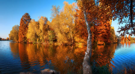 From-last-fall. - river, trees, nature, falls, lake, reflection