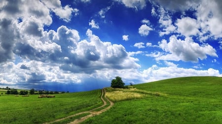 hungarian_skies - clouds, nature, green, grass, tree, sky, animals