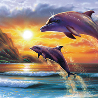 DOLPHINS DUSK