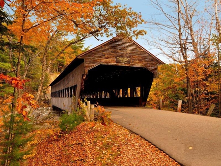 Albany Covered Bridge - autumn, bridge, covered, trees