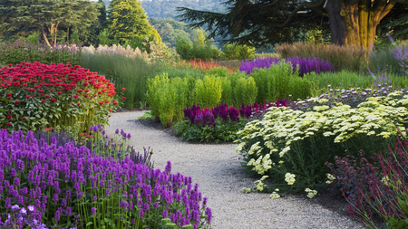 Lovely Garden Flowers - flowers, path, white, purple, garden, red, lovely, tree