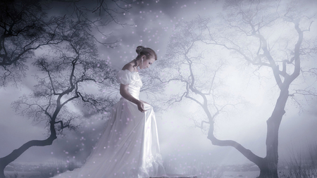 Winter Bride - bride, trees, white, winter, mist, dress, chill, night