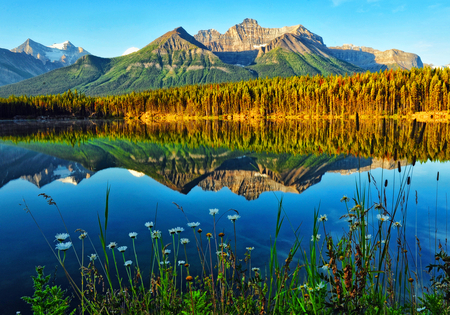 Mountain Lake Scenery - reflections, trees, blue, sunshine, lake, mountain