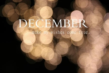 christmas - christmas, new year, wish, quote, imagination, dream, dreams