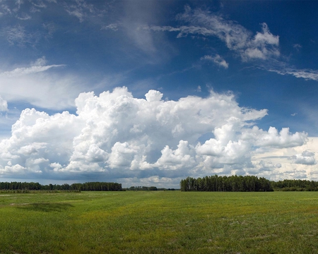 medow - nature, sky, free, medow, forest, green