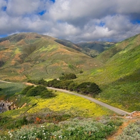 California landscape.