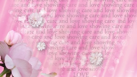 Showing Love - love, summer, spring, abstract, romantic, pink, pink firefox persona, romance, flowers