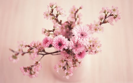 Pink Blossom Branches