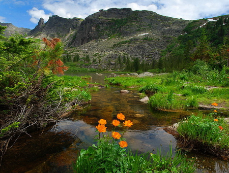 Flowers in the water - clouds, water, landscape, mountain, river, nature, view, lake, sky