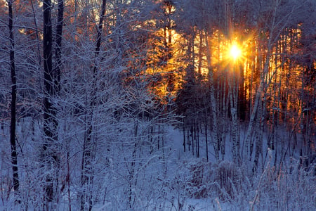 Winter-HDR - pretty, scenery, amazing, landscape, snow, great, sunrise, view, hdr, frost, nice, sun, winter, beautiful, photography, beauty, colors, lovely, cool, white, nature, sunset, season, rays