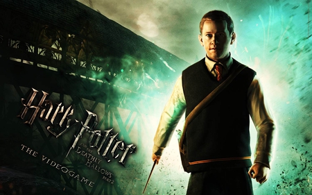 Seamus - harry potter, video games, seamus, other