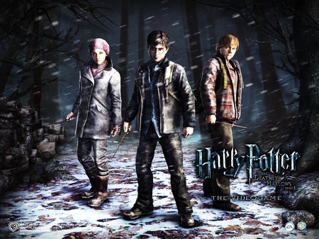 Harry, Hermione and Ron in the Snow - trh, fh, ehty, dvf, g