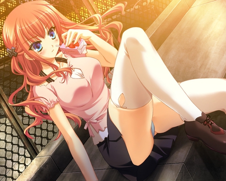 School GirlFriend - beauty, wall, game, new, girl, cg art