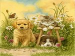 Cute puppies