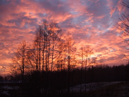 Sunset - sky, sunset, trees, clouds