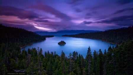 Island Cove - lake, cove, trees, water