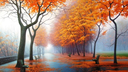 Autumn Colors - leaves, fall, autumn, rain