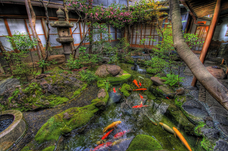 Japanese garden. - water, rock, flower, peace, tree, japan, garden, koi, fish, statue