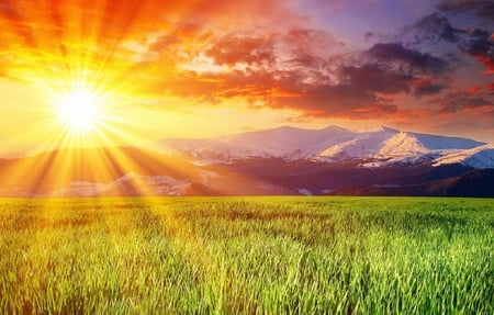 Beautiful sun ray - fields, nice, sky, sun, nature, beautiful, clouds, green, grass, sun ray