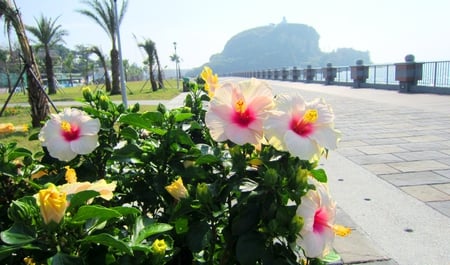 Seaside Park - trail, brick, flowers, sea, park